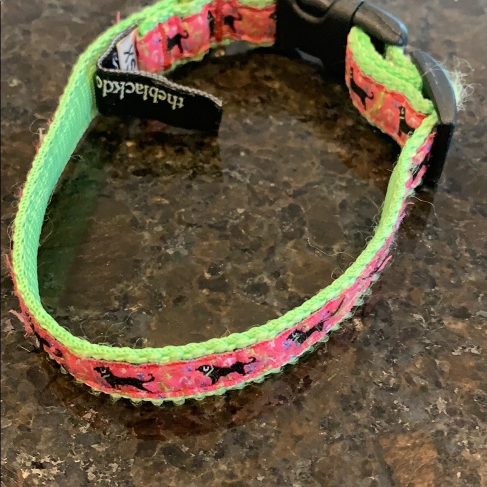 The black dog collar XS
